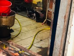 -黄记四更烤乳猪店