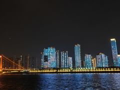 -武汉两江游览·夜游长江(汉口粤汉码头)
