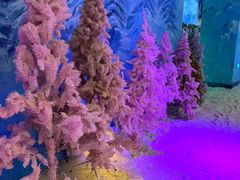 -郑州银基冰雪世界
