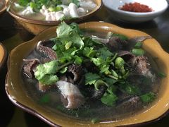 -小杨翘脚牛肉