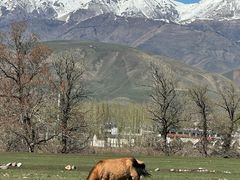 -新疆那拉提国家旅游度假区