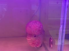 -华声天桥民俗文化园