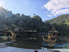 -西双版纳原始森林公园