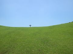 -大姆山草场