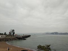 -猫咪博物馆(顶澳仔猫街店)
