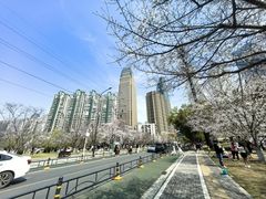 -西北湖绿化广场