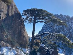 -黄山风景区