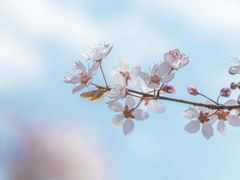 -贵阳市花溪国家城市湿地公园