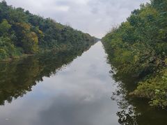 -黄海国家森林公园