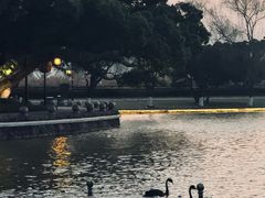 -江心屿景区