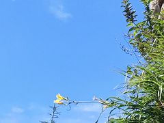 -崂山巨峰游览区