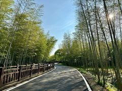 -游子山休闲旅游区