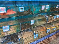 -范饭椰林川湘味海鲜·椰子鸡(三亚湾椰梦长廊店)