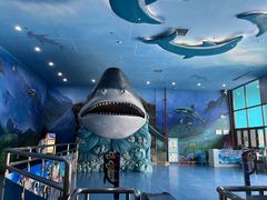 -多彩贵州城极地海洋世界