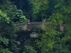 -铁山坪森林公园