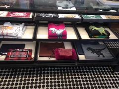-COACH蔻驰(顺城购物中心店)