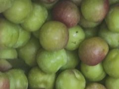 -双福水果批发市场