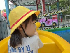 -大望京公园