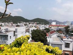 -芽庄中心购物广场