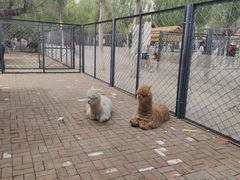 -长白岛森林公园