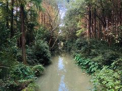 -同里国家湿地公园