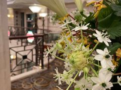-国际饭店·原点咖啡吧ORIGIN CAFE&BAR
