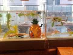 -云中鱼蒸汽石锅鱼(浦东食品城店)