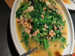 上汤豌豆尖-滋色臻选川菜(北京坊旗舰店)
