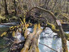 -叠溪松坪沟景区