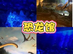 -中国西峡恐龙遗迹园