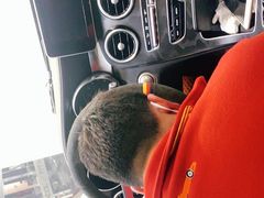 -利美特•威固V-KOOL双膜(杨浦授权店)