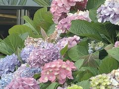 -首开·龙湖成都西宸天街