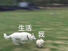 -岳辰齿科(浦东长泰店)