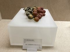 -广东省博物馆