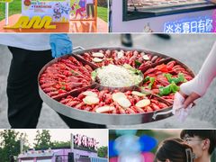 -荷兰花海