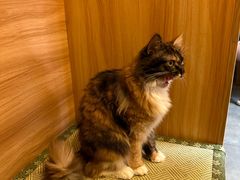 -雪月花(长江北路店)