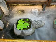 -三只耳火锅(宽窄巷子店)