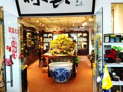 -双季花艺园艺市场(浦东店)