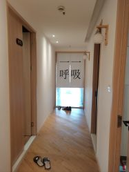 -MLYG美来瑜伽·普拉提