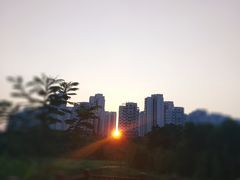 -聚龙山公园