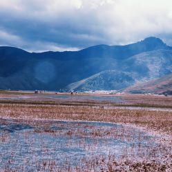 -纳帕海依拉草原
