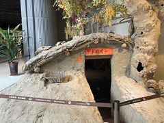 -三五九旅屯垦纪念馆