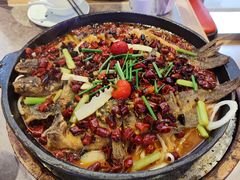 -老板恋上鱼(恒隆广场店)