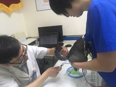 -宠福鑫动物医院(立水桥分院)