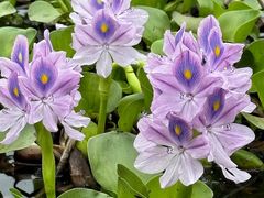 -白鹭湾湿地公园