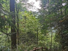 -藏龙百瀑风景区