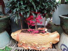 -秦美花卉(天朗·莱茵小城2期店)