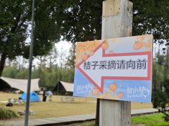 -前小桔亲子创意农场·草莓采摘·露营烧烤