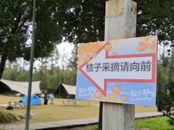 -前小桔亲子创意农场·草莓采摘·露营烧烤