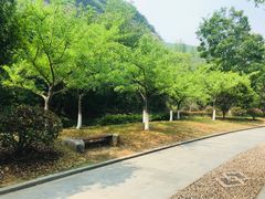 -金钉子远古世界景区